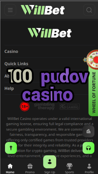 100 Pudov Casino - Russian Casino Brand Review-casinoorder.vip